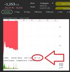 brainchip absturz.jpg