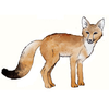 Swift_Fox_191x191.png