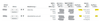 curry_0-1658411677778.png