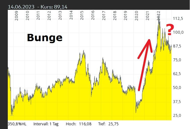 Bunge.jpg