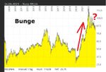 Bunge.jpg