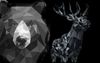 a5850d999816da7a249402f5abd9c334--black-deer-black-animals.jpg
