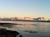 IMG_0402.jpeg