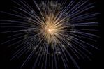 fireworks-102971_1920.jpg