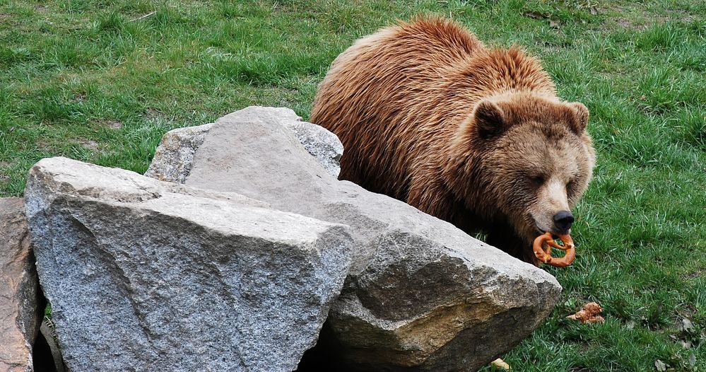 Diese ewigen Börenmörkte machen richtig hungrig