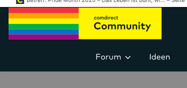 regenbogenflagge.png