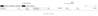 Screenshot 2025-07-02 215703.png