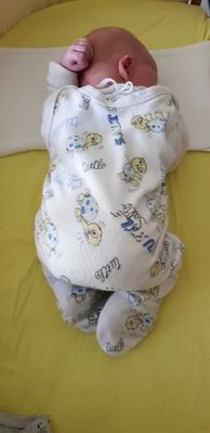 Die beste Investition meines Lebens.