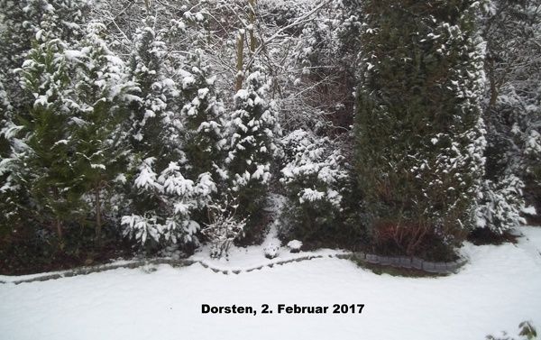 dorsten_februar_2017.jpg