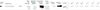 Screenshot 2026-01-23 213244.jpg
