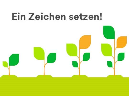 Quelle: Öffentlicher Newsletter von 3M für die Gesundheitsindustrie, Baumpflanzaktion bei Kauf von Produkten