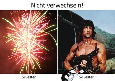 nicht-verwechseln-silvester-und-sylvester