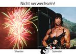 nicht-verwechseln-silvester-und-sylvester