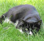 1Desktop quadratisch.jpg