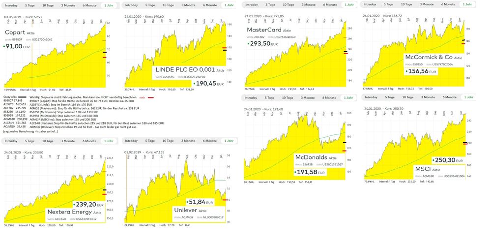 Stop Kurse Crazy Alex nmh.jpg