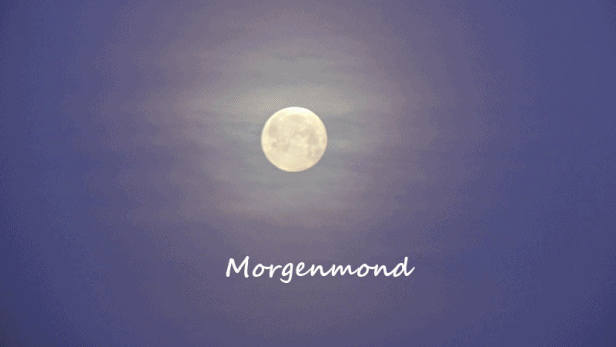Januar_Mond_und_Sonne_Gif.gif