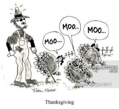 seasonal-celebrations-thanksgiving-cow-moo-turkeys-thanksgiving_turkeys-phe1311_low.jpg