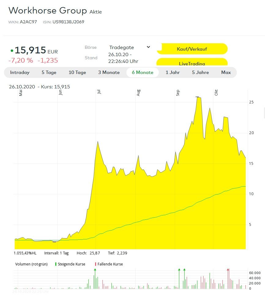 Workhorse Okt 2020.jpg