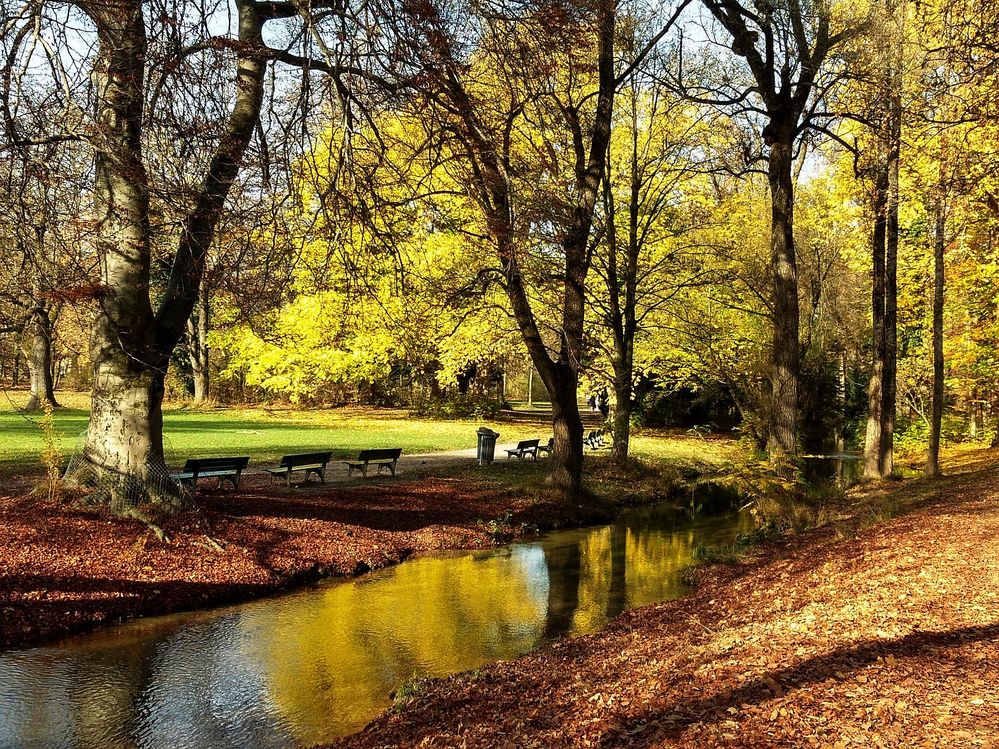 München Englischer Garten Nov 2020 b.jpg