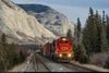 Canadian National Railway-Güterzug, Alberta, Kanada, Bildquelle: www.railpictures.net