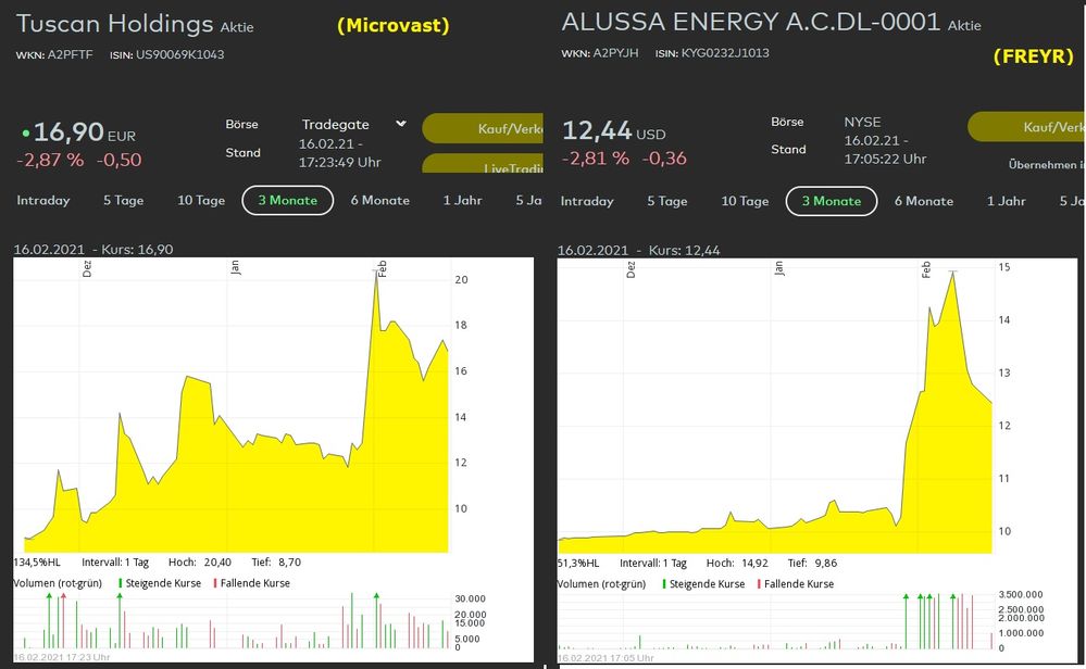 Microvast FREYR SPACs Batteriehersteller.jpg