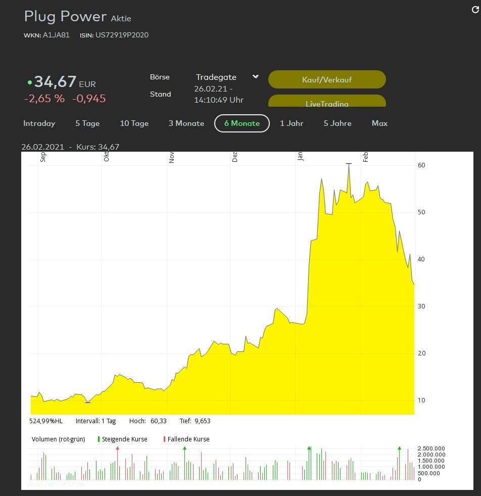 Plug Power Februar 2021.jpg