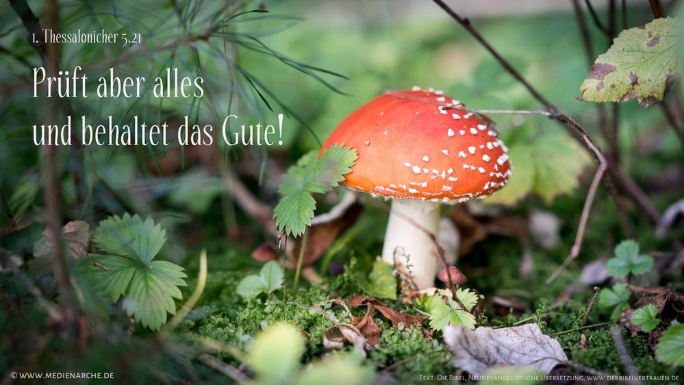 1-Thess-5-21_WZ-gr