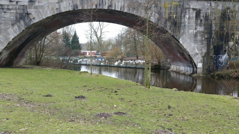 Alsterschwaene Winterquartier.jpg