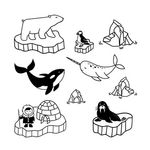 simple-doodle-drawings-about-polar-inhabitants-eskimo-bear-narwhal-killer-whale-puffin-walrus_327805-79.jpg
