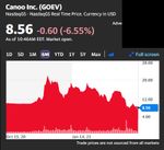 Canoo trifft es hart.jpg