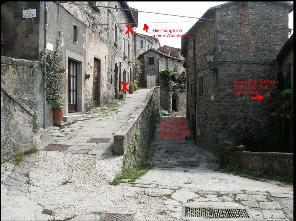 (c)  Wikipedia-Eintrag Santa Fiora