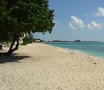 Profil (ehemaliger Nutzer)