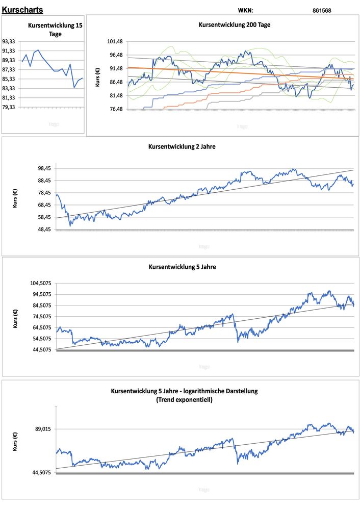 20211223 WKN 861568 - Toro Seite 2.jpg