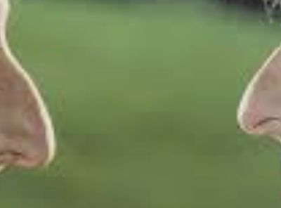 Screenshot_20220106-123858_Samsung Internet.jpg